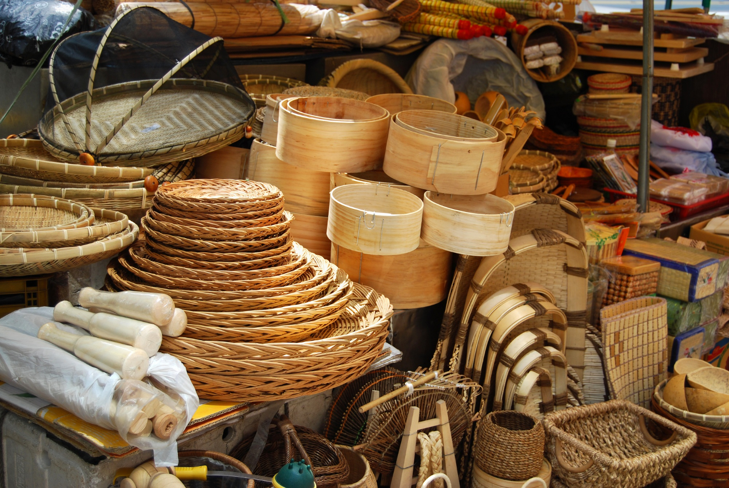 Grow Bamboo. Build India. Sustain the Future.